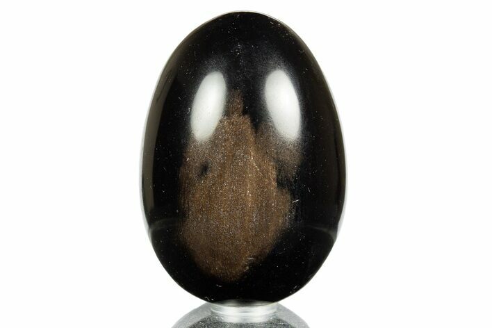 Polished Petrified Wood Egg - California #309053